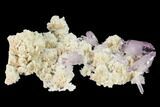 Pristine, Amethyst Crystal Cluster - Las Vigas, Mexico #165622-3